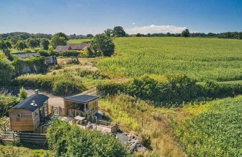 Curious Calf - Foto 21