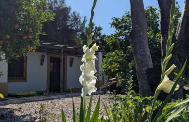 Riverlake House - frente ao lago e com jardim - Foto 13