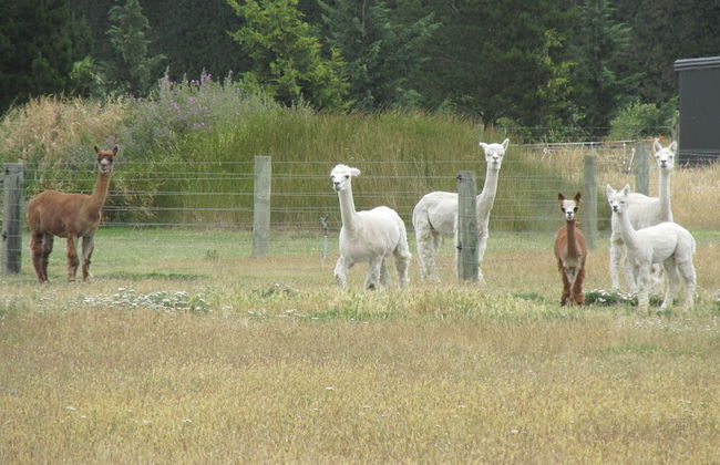 Eyreview Retreat - Photo 16