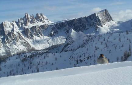 Casa Elena - Foto 36