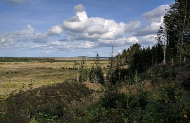 Renovated Retreat With Pool - By Traum Ferienwohnungen - Foto 23