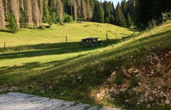 La loge de la Dolarde - Foto 24