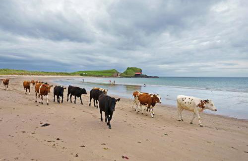 7 Bed in Campbeltown 83009 - Foto 29