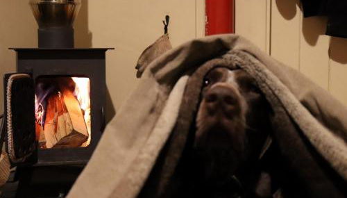 1 Bed in Llandyfan 65190 - Foto 5, Other