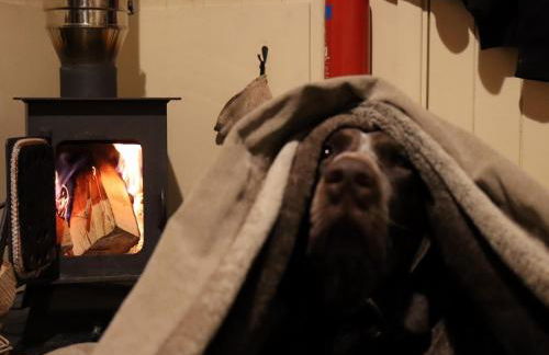 1 Bed in Llandyfan 65190 - Foto 5