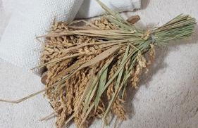 La Llar de Laura - Foto 44