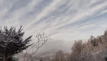 Domek Na Leśnym Wzgórzu - Foto 4