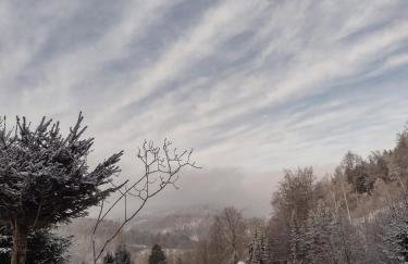 Domek Na Leśnym Wzgórzu - Foto 4