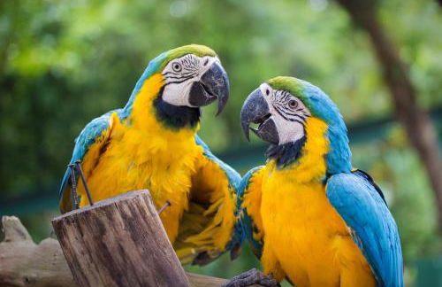 Chalé Container Nobres Asa Própria - Foto 18