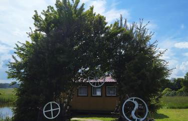 #MazuryWildLife - Foto 9