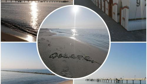 Ostsee-Wiesenpieper (Graal-Müritz) - Foto 3