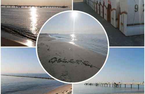 Ostsee-Wiesenpieper (Graal-Müritz) - Foto 3