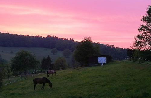 Ferienwohnung Traumblick - Foto 10