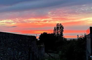 Charmant Cottage d'artistes - Foto 18