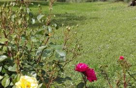 Agriturismo La Pieve - Foto 21