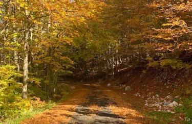 All’ombra del Miletto - Foto 6