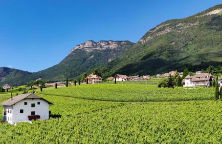 Highlight Apartments - Foto 57