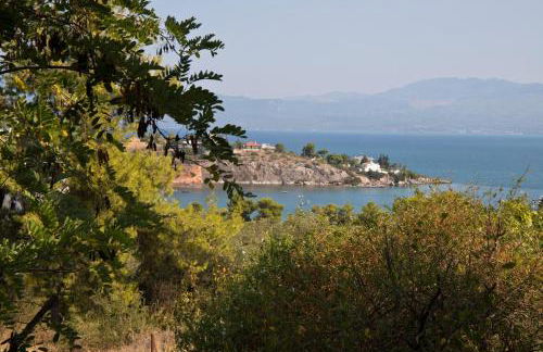 Seaview Resort - Foto 42