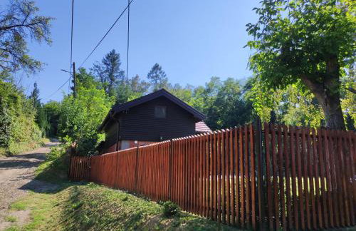 Bakino brdo - Granny's hill - Photo 41