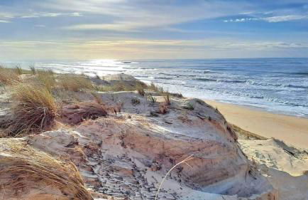 Les Bord'Océanes Sauna & Spa Villa Marensine et Villa Oyat - Foto 17