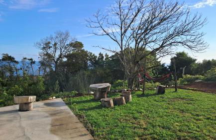 Biscoitos Top View - Photo 53