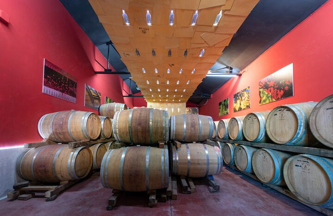 Cata de vinos "Gourmet" en Cesani's - Foto 11