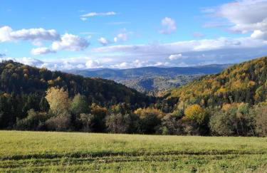 Lisi Zakątek - Foto 6