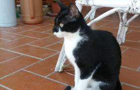 il Chiassetto Agriturismo No Kids - Foto 54