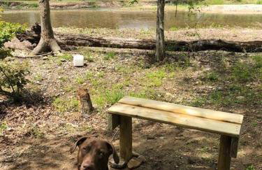 Caddo Cabin on Collier Creek - Foto 76