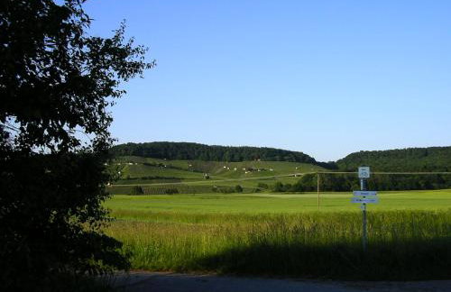 Ferienwohnung Zu den Weinbergen - Foto 8