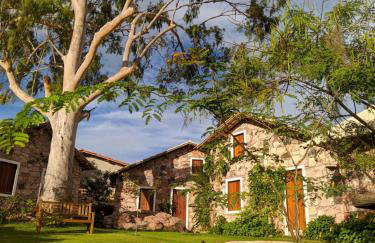 Oforasteiro - Foto 1