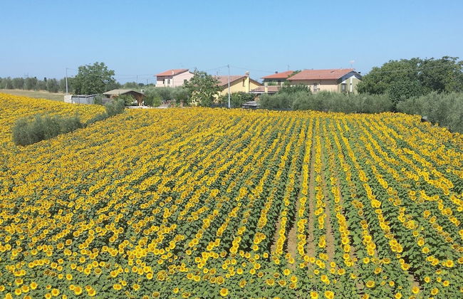 Rustic Charm, Modern Comfort - Foto 25