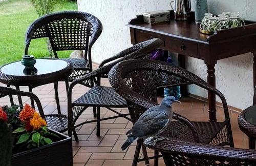 Villa Watamu - Foto 19