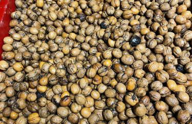 SO MAGIC - La casa nel bosco - Foto 40