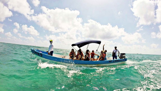 Puerto Morelos Snorkeling Tour - Foto 4
