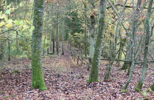 fewogriebelschied - Foto 64