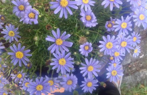 Casa de Romao - Foto 42