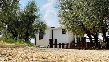 oasi macerina - Foto 2