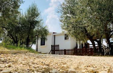 oasi macerina - Foto 2