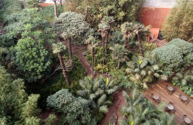 Incredible Apartment Reforma 3rooms Great Location - Foto 60