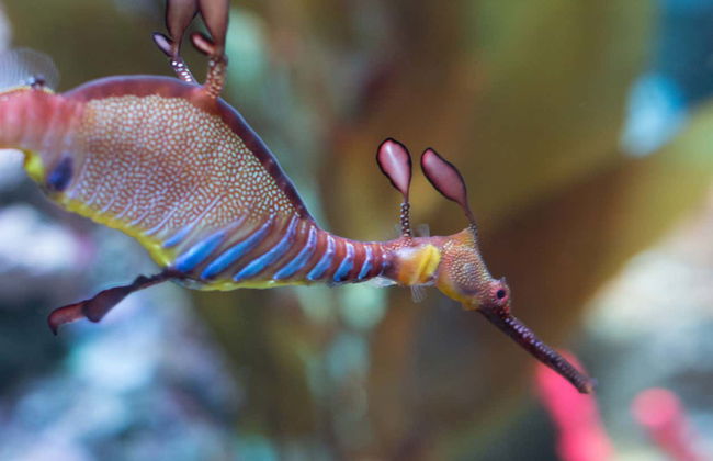 Boston CityPASS® - Photo 5