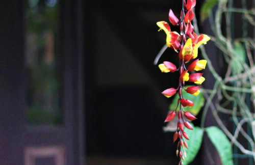 CASA PRIVATIVA - 5 pessoas- Guarda do Embaú - Photo 23