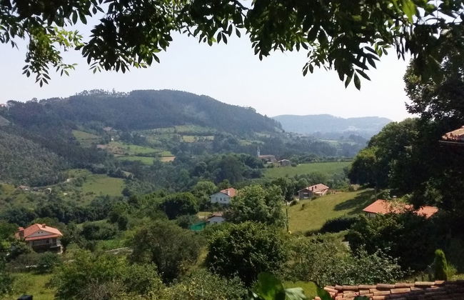 Trisqueles y Buganvillas - Photo 51