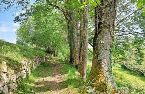 Gîte Les 4 Saisons - Foto 42