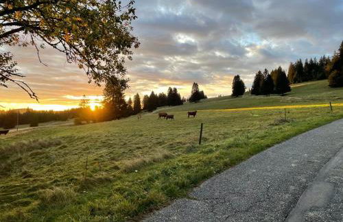 Große gemütliche Ferienwohnung in Schwarzwaldhof - Foto 21
