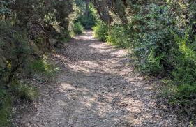 Villa Scandola - Foto 34