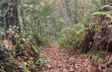 casa de campo - Foto 9