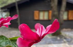 Woods Etna Chalet - Foto 54