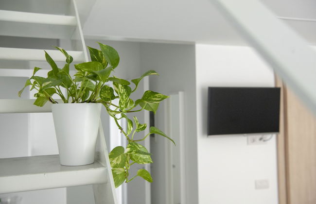 Ortiquattro - Photo 35