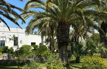 Nonna Maria - Foto 18